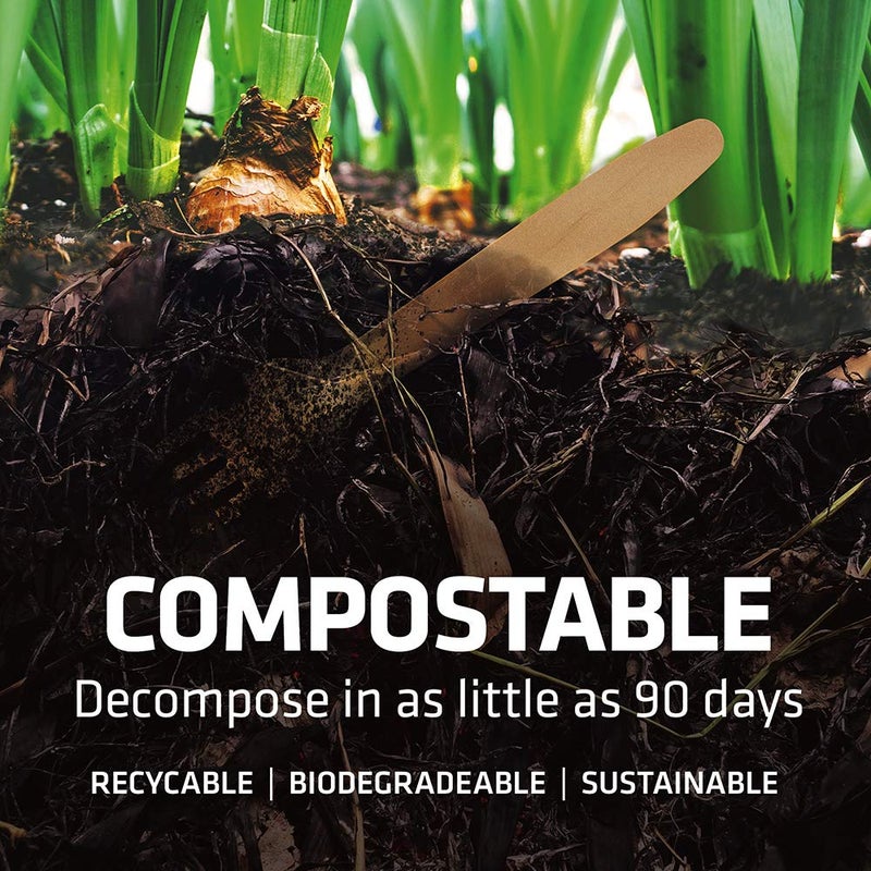 WOODABLE Disposable Wooden Cutlery Set - 100% Home Compostable - 100 Spoons 6.5", Bamboo Utensils Alternative, Eco-Friendly, Organic, Sustainable and Carbon Neutral Certified - Image 4
